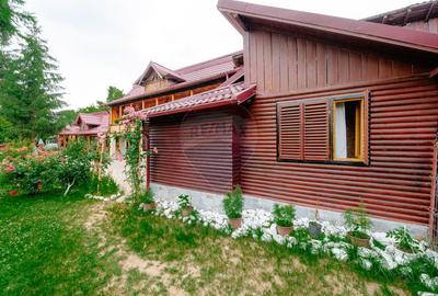 Pensiune de vânzare, Corbșori (Poenari)| potențial real de Business - 26