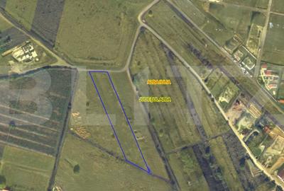 Teren Construcții intravilan de 6400 mp, în Cetate