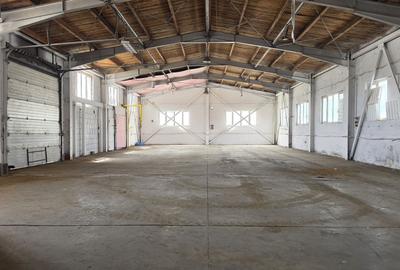 Hală industrială  productie/depozitare Sânpetru, 450 mp, curent 200kw - 8
