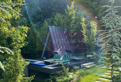 Cabane A frame + Teren 6000 mp |  Proprietate deosebita, NOU - 5
