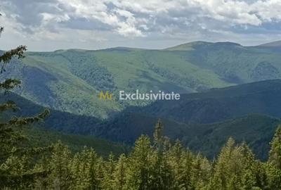 Cabană P+M de vânzare în Rânca - 27