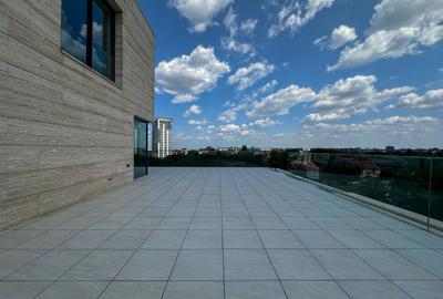 Duplex penthouse Rahmaninov 1000 mp utili si terasa panoramica 400 mp - 10