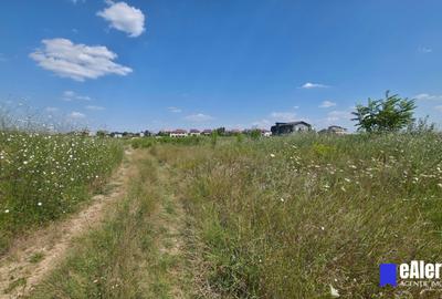 Teren 855 mp, lângă grădinița Zori de Zi, Mogoșoaia, complex 31 de case - 4