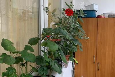 Apartament 2 camere + bucătărie, renovat recent, cu parcare – Dealul F - 21