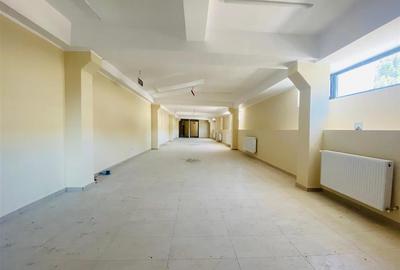 Hale Calea Chisinaului Iasi aproape de Carrefour de la 65mp la 2000mp - 18