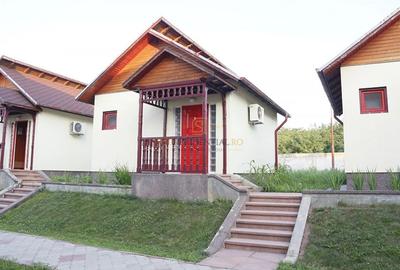 Complex turistic de vanzare, afacere functionala, Comuna Berceni - 6