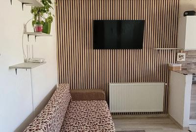 Apartament cu o camera, 34 mp, balcon, zona Florilor - 4