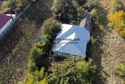 Casă cu 5 camere în Turturești
