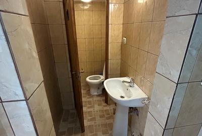 Brancoveanu,Drumul Gazarului,Izvorul Rece,86mp,productie,depozitare,Parcare - 4
