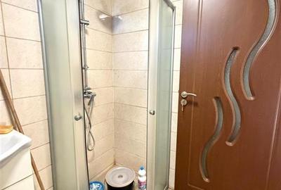 CASA CU TEREN 1080 MP | ACCES AUTO | LOCALITATEA INEU | BIHOR - 15