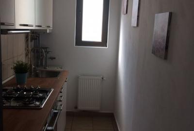 Proprietar - Garsoniera mare - Baneasa Sisesti - 9