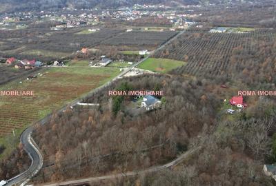 TEREN INTRAVILAN – TĂUȚII-MĂGHERĂUȘ  Lângă Cabana Apa Sărată - 8