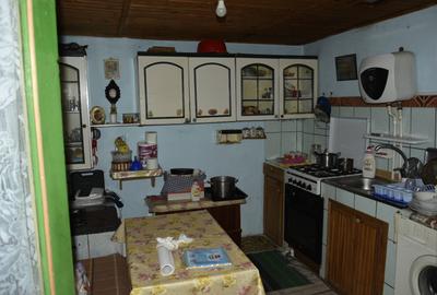 CASĂ TRADIȚIONALĂ CU GRĂDINĂ GENEROASĂ ȘI VIE – ISACCEA, JUD. TULCEA - 12