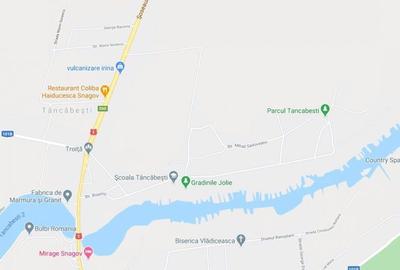 Vanzare teren 20.000 mp Padurea Vladiceasca, Tancabesti - 1
