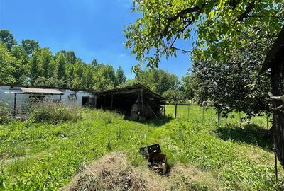 CASA LA TARA | 6770MP TEREN | JOSANI | BIHOR | - 14