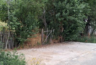 Teren Intravilan  in Tismana (Comuna Devesel), la 200 ml de Dunare - 3