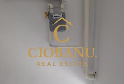 Hale industriale+Cladire de Birouri de inchiriat zona Aeroport - 14