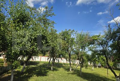 Teren Construcții intravilan de 1227 mp, în Titu