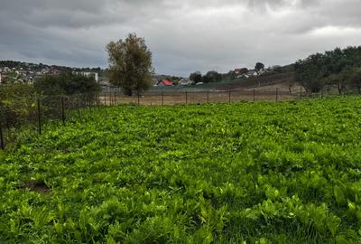 Teren Construcții intravilan de 1600 mp, în Bârnova