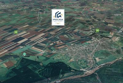 Teren agricol extravilan de 264000000 mp, în Nord