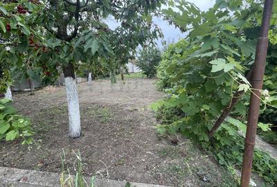 Casă individuală cu 4 camere în Mehala