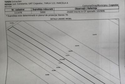 Teren Arabil 5000 mp in Tariverde  jud Constanța - 3