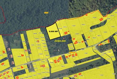 Teren Construcții intravilan de 2500 mp, în Cisnădioara
