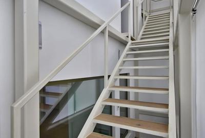 Vila recent renovata Dorobanti - 9