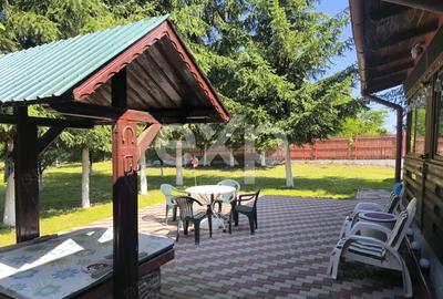 Casă deosebită 5 camere, 2100 mp teren, livadă – Mălureni, Argeș - 6