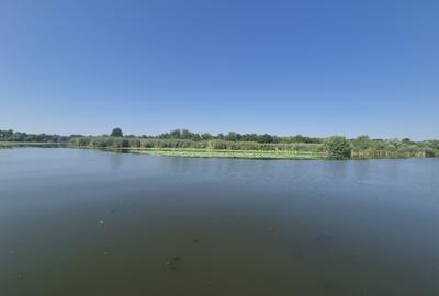 Izvorani - Teren cu deschidere generoasă la lacul Snagov - 1
