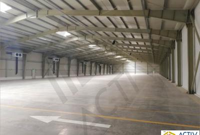 DEPOZIT TEMPERATURA CONTROLATA ALUTI & VALSI COLD STORAGE - 2
