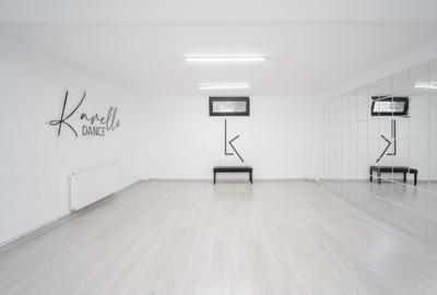 Vila Grandioasa 650 mp+Spatiu Comercial 110 mp Tatarasi Teren 968 mp - 16