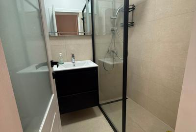 Casa de inchiriat, 2 camere, centru - 6