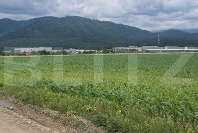 Teren agricol extravilan de 12000 mp, în Ghimbav