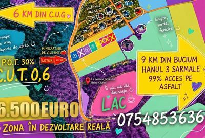 Cercu , Strada Hotarului , 3 km de cartier Visoianu , 16.500 euro - 1