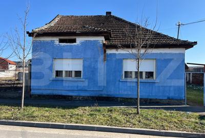 Casă individuală cu 2 camere în Botizului