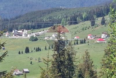 Casă / Vilă cu 5 camere de vânzare - 4