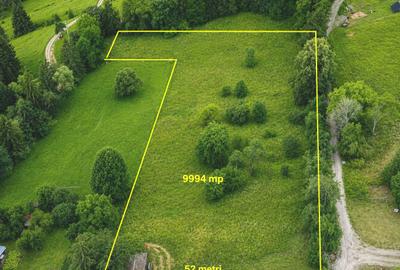 Teren intravilan 9.994 mp | Hangu – Chiriteni - 2