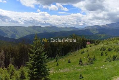 Cabană P+M de vânzare în Rânca - 26