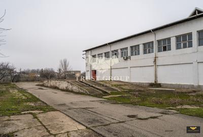 Teren 28.788m + Hale industriale + Sediu Firma - 38