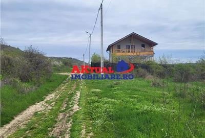Vanzare teren 35.000mp Stefanesti -Arges-Comision 0% - 3