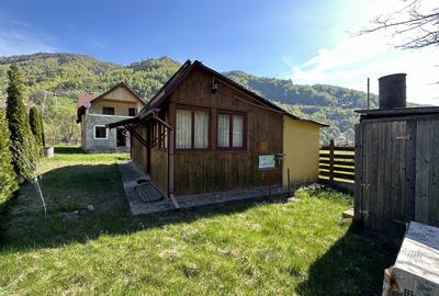 Casa cu teren langa râu Lotrioara - 7