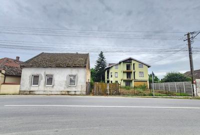 Vand casa mare și teren mare în Peciu Nou - 2