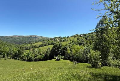 Teren de vânzare în Răchițele – 10.479 mp ! Priveliste panoramica ! - 8