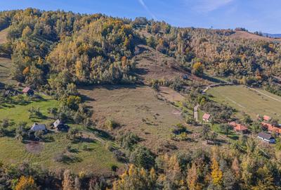 Teren intravilan 16.804 mp, Simon–Bran, vedere spre Bucegi - 3