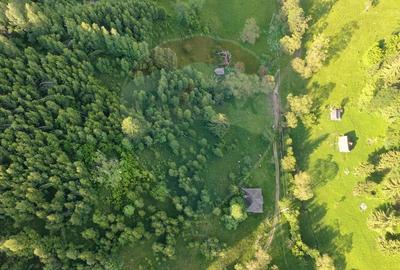Teren 38,704mp Sirnea | 2.000 mp Intravilan | 36,704 Extravilan - 1