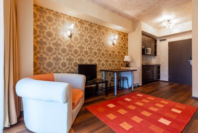 Garsoniera cu vedere la partia Clabucet , Predeal, Brasov - 10