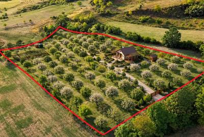 VIDEO | Super view | Teren 8.500 m² in Maramures | Viitorul tau colt de liniste - 6