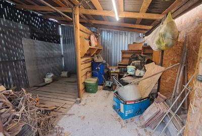 CASA cu anexa si spatiu comercial – de vanzare in BEIUS - 32