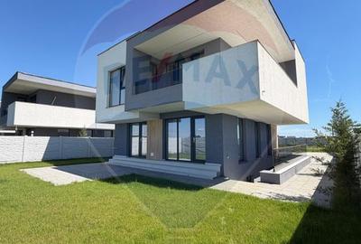 Vanzare casa Domnesti - 3
